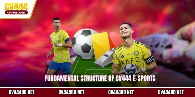 Fundamental structure of CV444 e-Sports