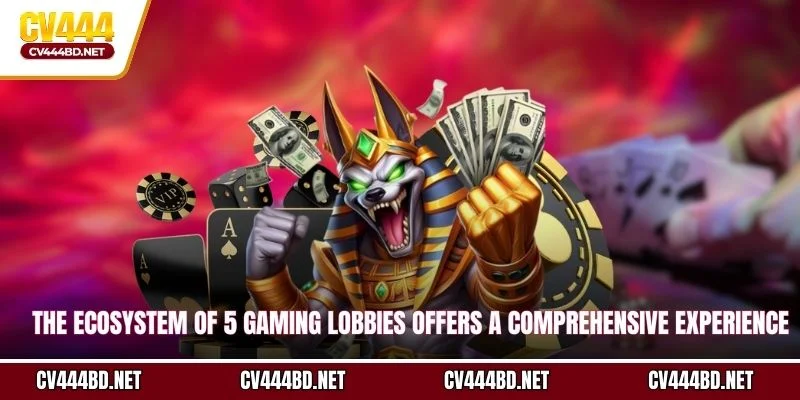 The ecosystem of 5 gaming lobbies offers a comprehensive experience