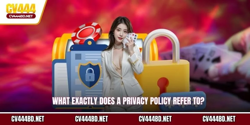 What exactly does a privacy policy refer to?
